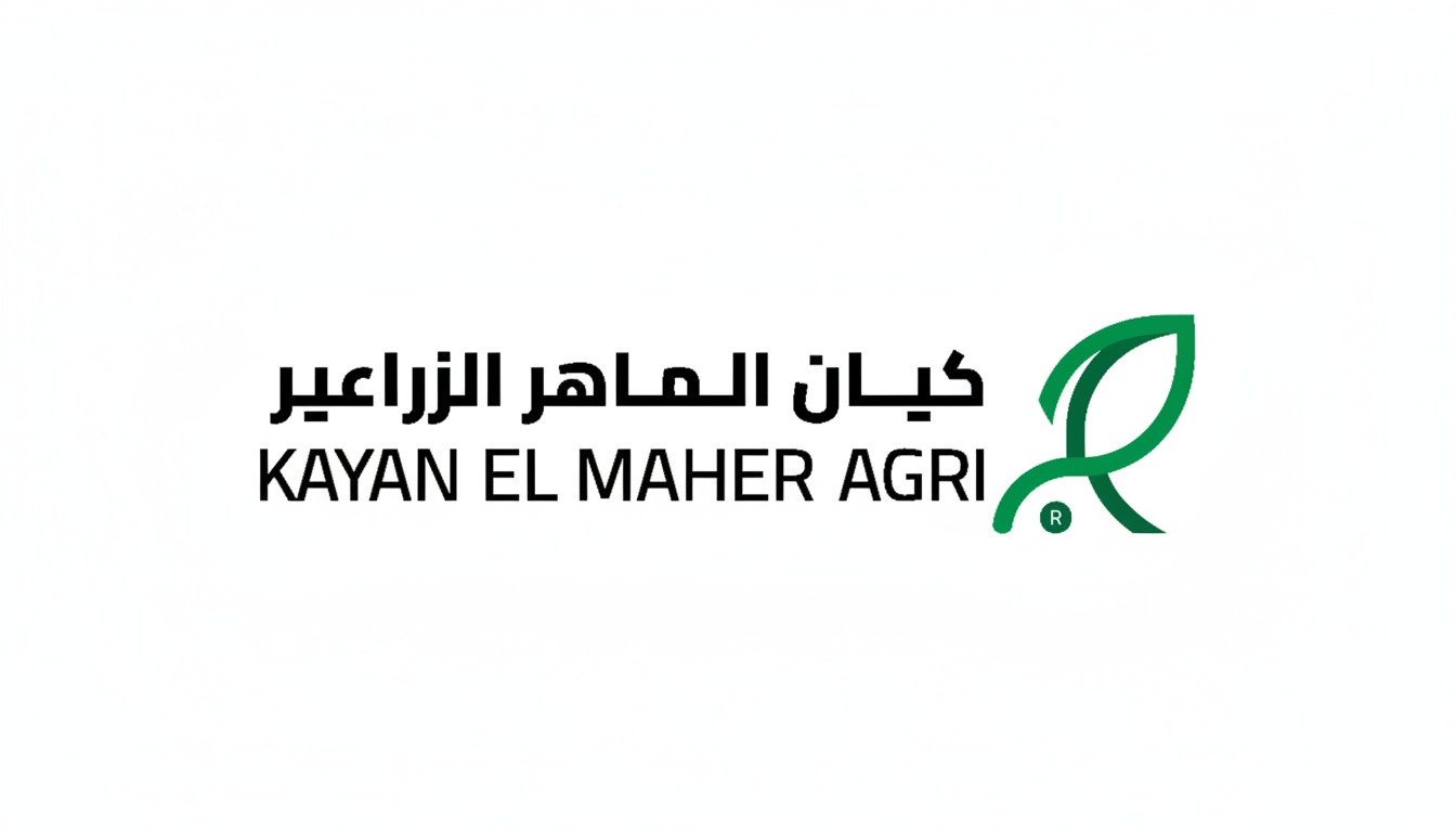 WhatsApp Image 2025-11-11 at 12.04.07 PM